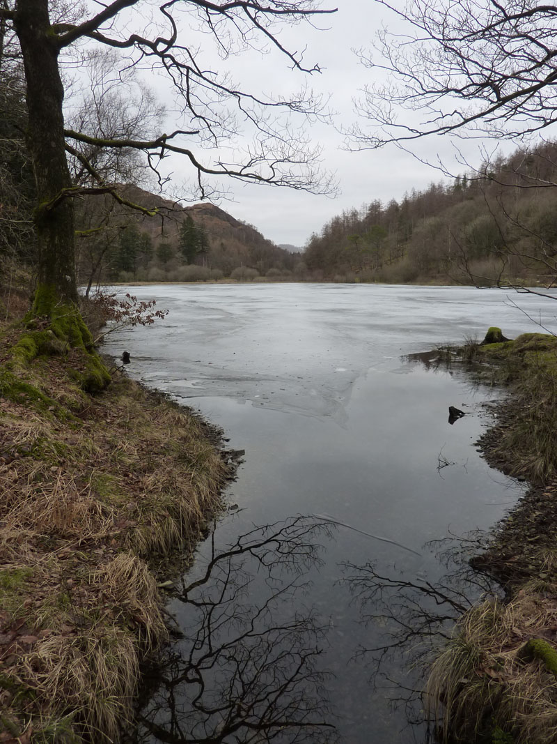 Yew Tree Tarn